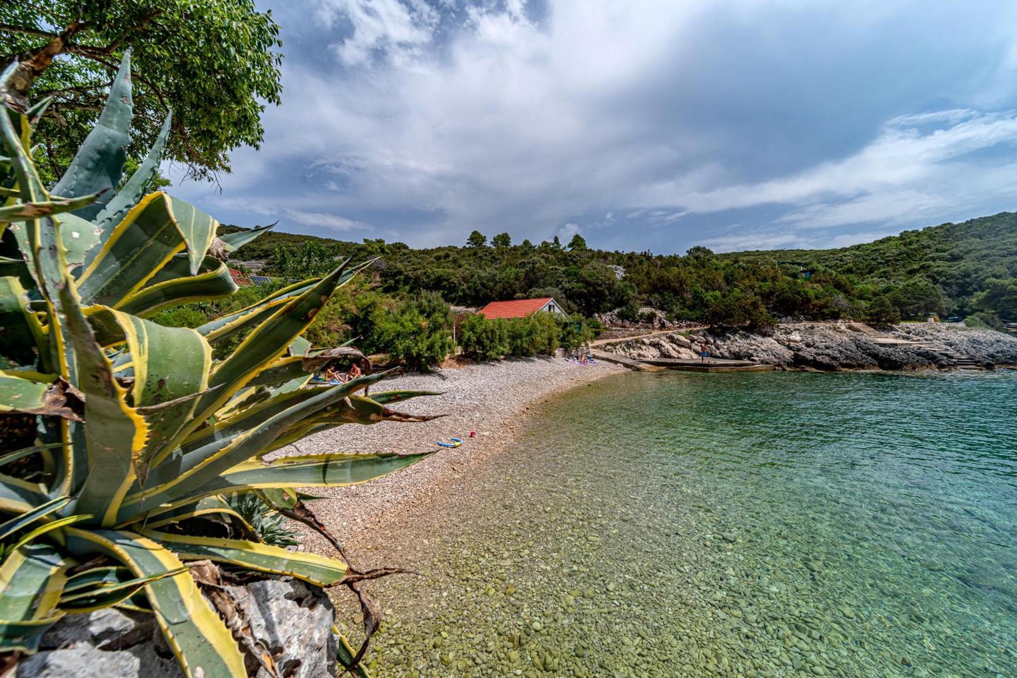 Seaside House For Families With Children Cove Rasohatica, Korcula - 4386 Lumbarda Bagian luar foto